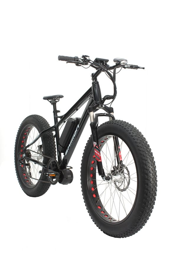 Skillion 2 ebike